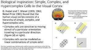 History of AI ML and DL - Cells in Visual Cortex